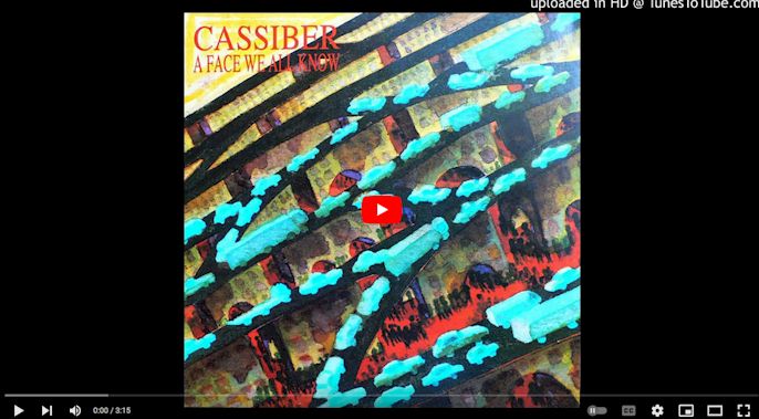 Cassiber/The Cassiber Box Redux ....import 6 CD + DVD Box Set $69.99